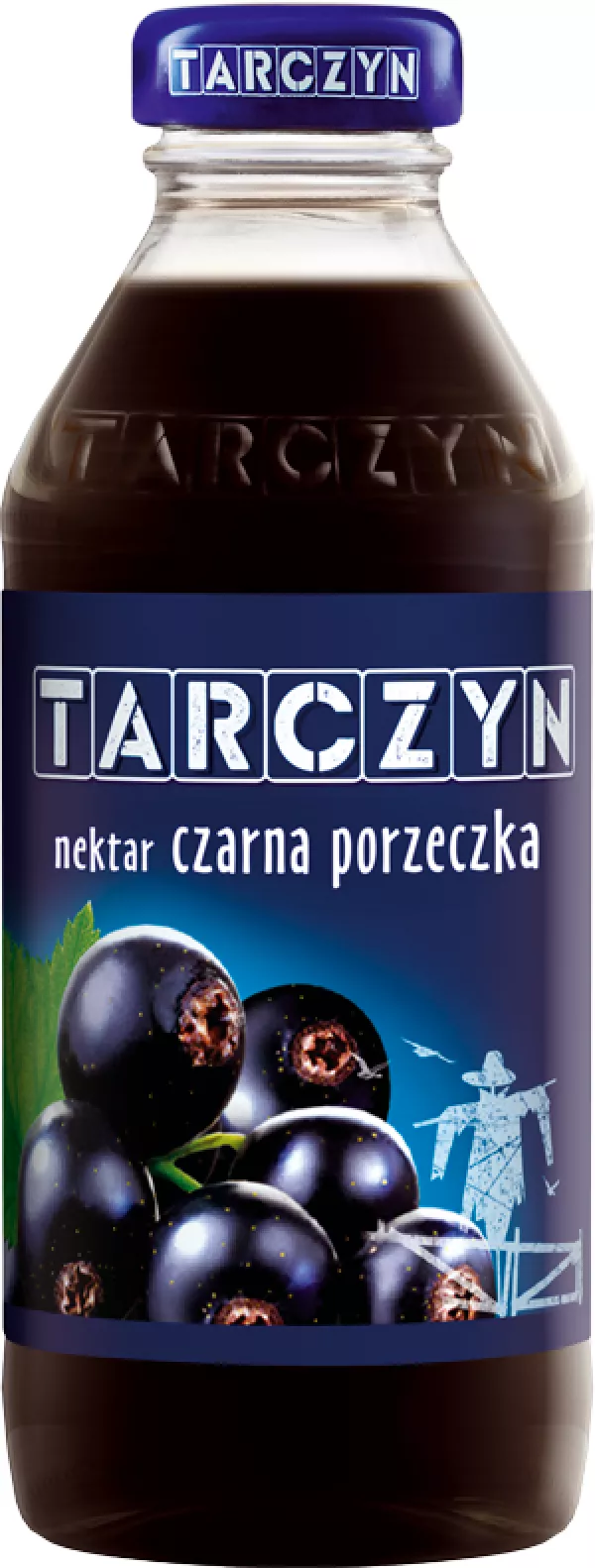Nectar Tarczyń cassis 300ml verre Maspex